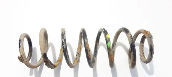 Rear coil spring
