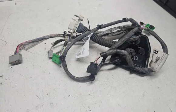 Front door wiring loom