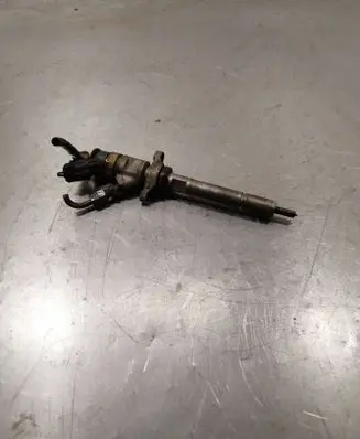 Peugeot 3008 I Fuel injector 0445110297