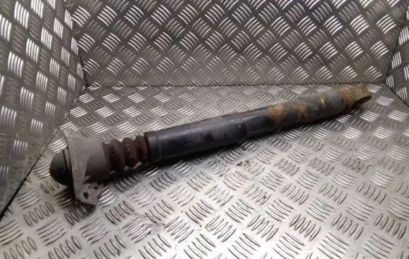 Skoda Yeti (5L) Rear shock absorber/damper 1K0513029