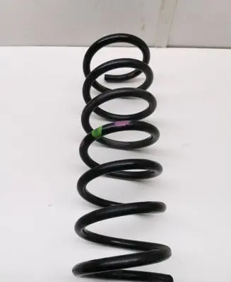 Rear coil spring