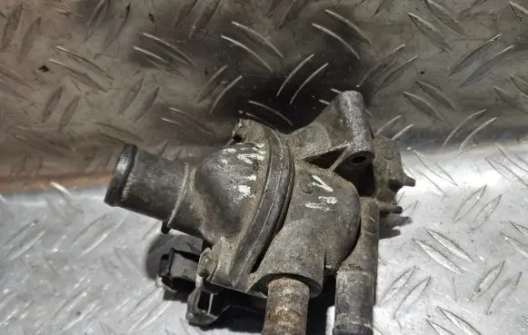 Thermostat/thermostat housing