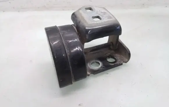 Renault Megane II Rear door lower hinge