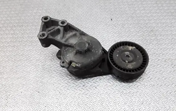 Seat Alhambra (Mk1) Generator/alternator belt tensioner 038903315F