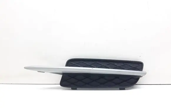 BMW X5 E70 Front bumper lower grill 7159593 51117159593