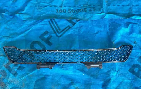 Front bumper lower grill