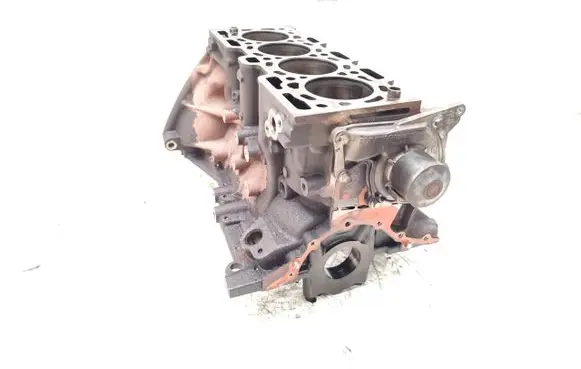 Nissan Juke I F15 Engine block K9K K9KF K9KF646