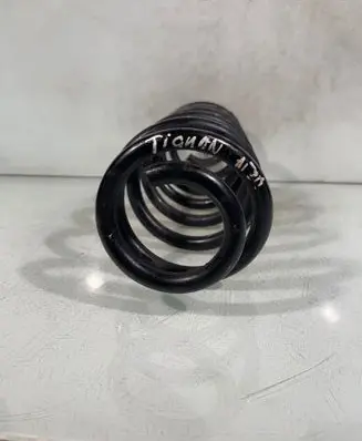 Rear coil spring