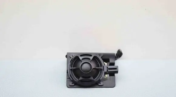 Panel speaker