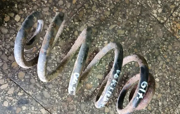 Rear coil spring