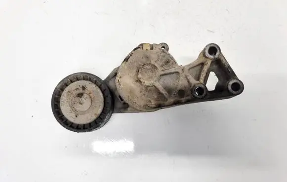 Seat Ibiza II (6k) Generator/alternator belt tensioner 038903315
