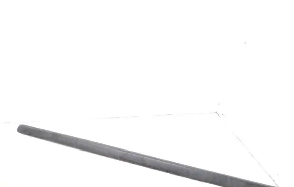 Front door trim (molding)
