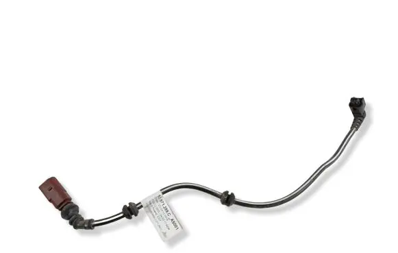 Audi E-tron GT Other wiring loom 9J1971289C