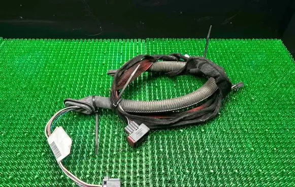 Rear door wiring loom