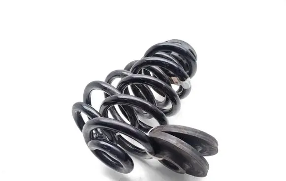 Rear coil spring