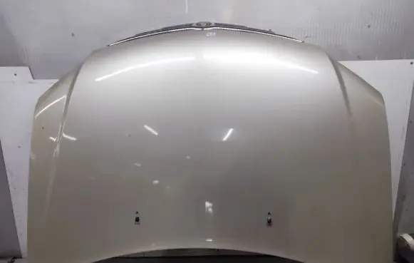 Chrysler Pacifica Engine bonnet/hood