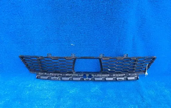 BMW 1 F40 Front bumper lower grill 8070941