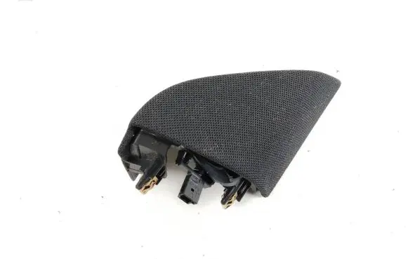 Front door high frequency speaker