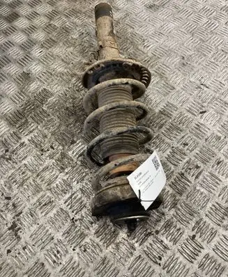 Skoda Praktik (5J8) Front shock absorber/damper