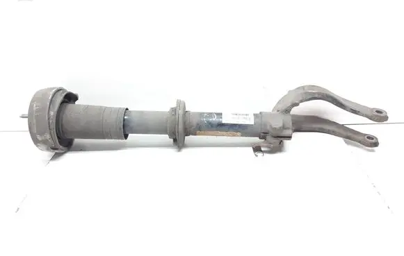 BMW X5 E70 Front shock absorber/damper 6781920 31316781920