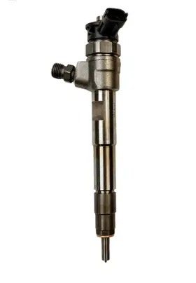 Renault Kangoo III Fuel injector 0445110800