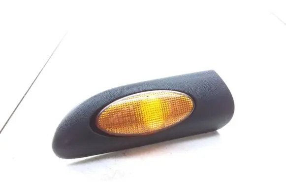 Front fender indicator light
