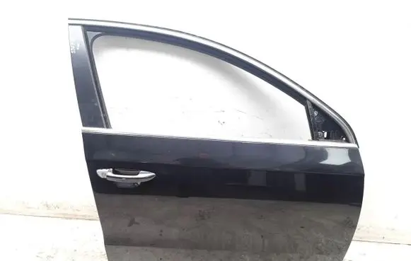 Volkswagen PASSAT B7 Front door