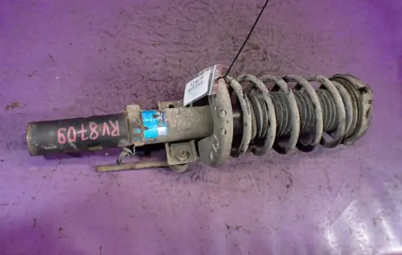 Volkswagen Polo Front shock absorber with coil spring 300032