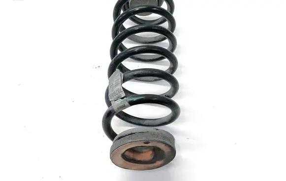 Rear coil spring