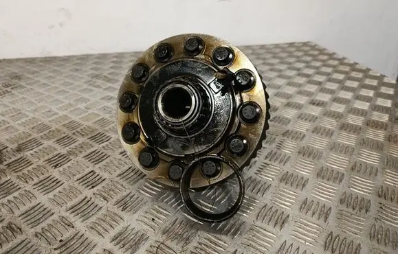 Dodge RAM 1500 DS Rear differential 25581