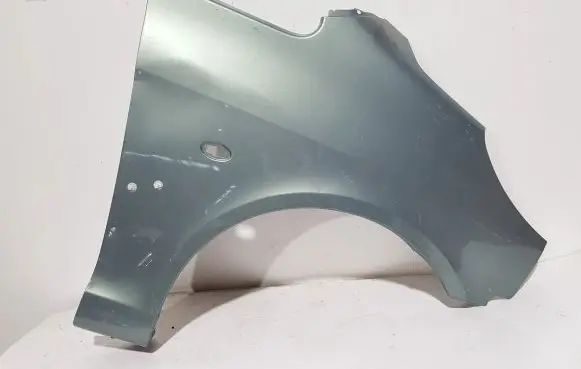 Peugeot 1007 Fender