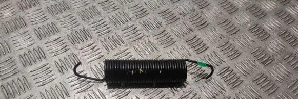 Front coil spring