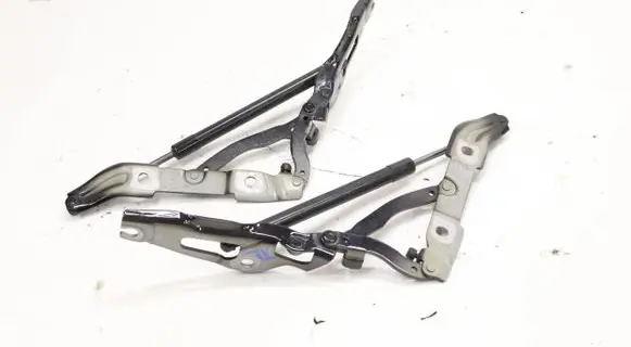 BMW 2 F22 F23 Tailgate/trunk/boot hinge 7304558