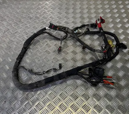 Ford Mustang V Engine installation wiring loom 14B060