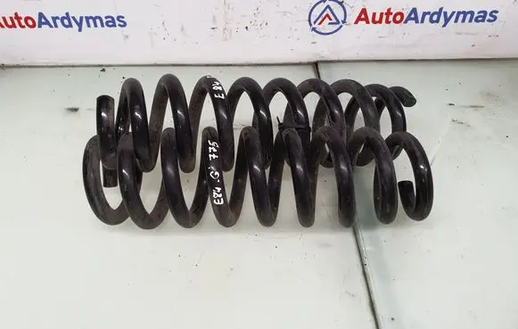 Rear coil spring