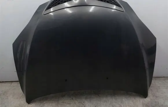 Engine bonnet/hood