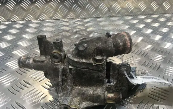 Thermostat/thermostat housing