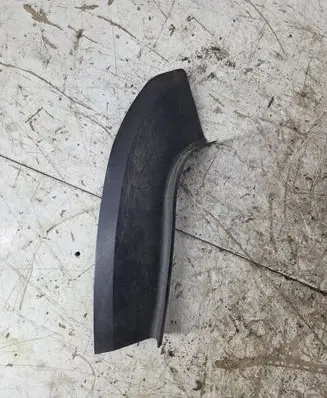 Rear/tail light trim molding