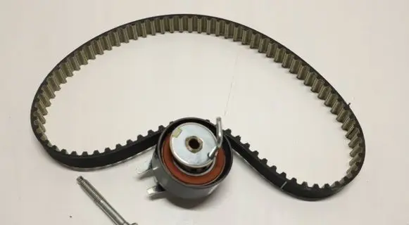 Rover Land Rover Timing belt FW9Q-6K254-AA