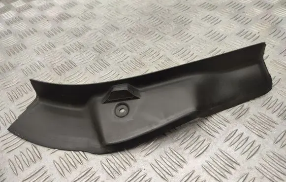 Rear/tail light trim molding