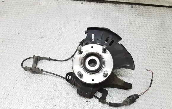 Hyundai i20 (PB PBT) Front wheel hub spindle knuckle