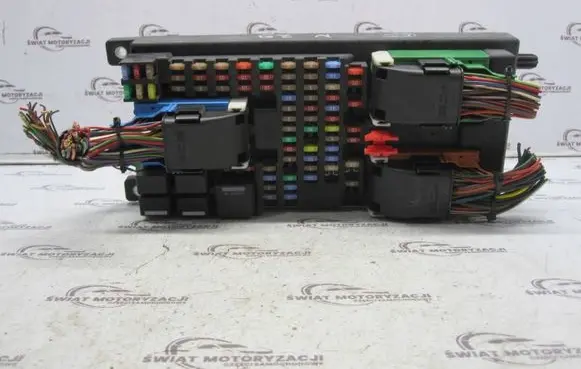 Land Rover Range Rover Sport L320 Fuse module YQE500420