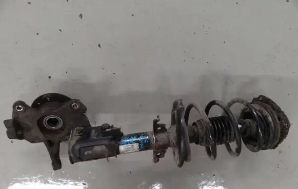 Renault Megane III Front shock absorber with coil spring 543022646R