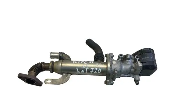 Peugeot Expert EGR valve 9645689780 875816W