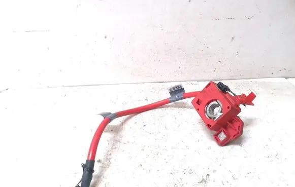 BMW 3 E92 E93 Positive cable (battery) 61136982227
