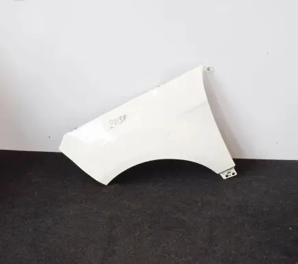 Ford Ecosport Fender 1896285