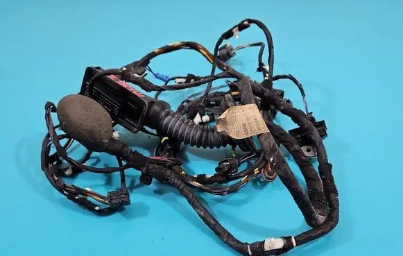 BMW X3 G01 Front door wiring loom 8792821 IMPRK1456909