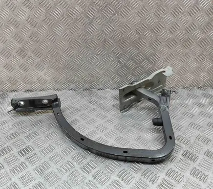 Citroen C4 II Tailgate/trunk/boot hinge 9838837980