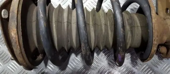Front coil spring