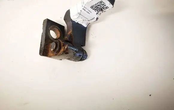 Volkswagen Touran I Rear door lower hinge 